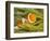 False Clown Anemonefish, Raja Ampat Region of Papua, Indonesia-Stuart Westmoreland-Framed Photographic Print