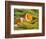 False Clown Anemonefish, Raja Ampat Region of Papua, Indonesia-Stuart Westmoreland-Framed Photographic Print