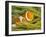 False Clown Anemonefish, Raja Ampat Region of Papua, Indonesia-Stuart Westmoreland-Framed Photographic Print