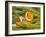 False Clown Anemonefish, Raja Ampat Region of Papua, Indonesia-Stuart Westmoreland-Framed Photographic Print