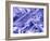 False Col. SEM of Crocidolite Fibres.-Dr. Jeremy Burgess-Framed Photographic Print