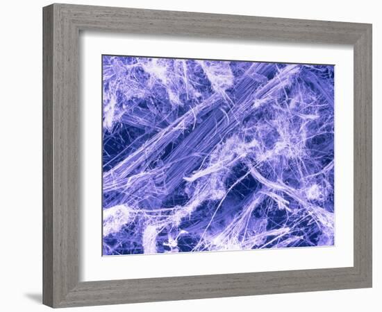 False Col. SEM of Crocidolite Fibres.-Dr. Jeremy Burgess-Framed Photographic Print