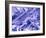 False Col. SEM of Crocidolite Fibres.-Dr. Jeremy Burgess-Framed Photographic Print