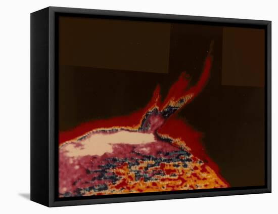 False Colour Image of a Solar Flare from Skylab, 1973-null-Framed Premier Image Canvas