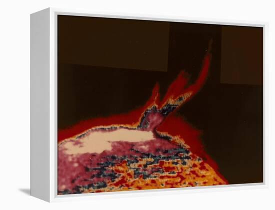 False Colour Image of a Solar Flare from Skylab, 1973-null-Framed Premier Image Canvas