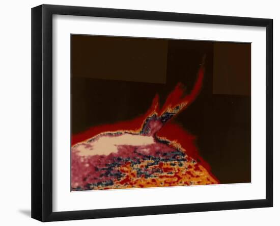 False Colour Image of a Solar Flare from Skylab, 1973-null-Framed Giclee Print