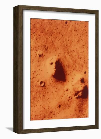 False-colour of Face on Mars-null-Framed Photographic Print