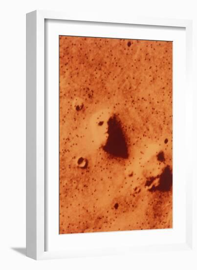 False-colour of Face on Mars-null-Framed Photographic Print