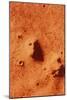False-colour of Face on Mars-null-Mounted Photographic Print