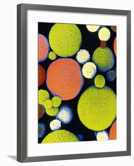 False Colour SEM of Sephadex Beads.-Dr. Jeremy Burgess-Framed Photographic Print