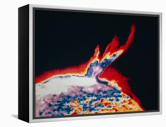 False-colour Skylab Image of a Solar Prominence-null-Framed Premier Image Canvas
