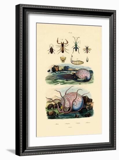 False Scorpion, 1833-39-null-Framed Giclee Print