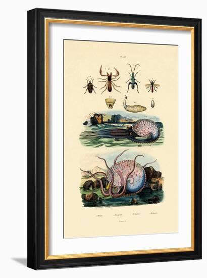 False Scorpion, 1833-39-null-Framed Giclee Print