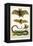 False Vampire Bat, Long Winged Bats and Snakes-Albertus Seba-Framed Stretched Canvas