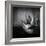 Familia-Moises Levy-Framed Photographic Print