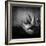 Familia-Moises Levy-Framed Photographic Print