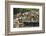 Families at Floating Market Selling Produce and Wares in Chau Doc, Mekong River Delta, Vietnam-Michael Nolan-Framed Photographic Print