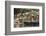 Families at Floating Market Selling Produce and Wares in Chau Doc, Mekong River Delta, Vietnam-Michael Nolan-Framed Photographic Print