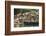 Families at Floating Market Selling Produce and Wares in Chau Doc, Mekong River Delta, Vietnam-Michael Nolan-Framed Photographic Print