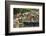 Families at Floating Market Selling Produce and Wares in Chau Doc, Mekong River Delta, Vietnam-Michael Nolan-Framed Photographic Print