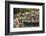 Families at Floating Market Selling Produce and Wares in Chau Doc, Mekong River Delta, Vietnam-Michael Nolan-Framed Photographic Print