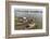 Families in their River Boats at the Local Market in Chau Doc, Mekong River Delta, Vietnam-Michael Nolan-Framed Photographic Print