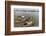 Families in their River Boats at the Local Market in Chau Doc, Mekong River Delta, Vietnam-Michael Nolan-Framed Photographic Print