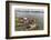 Families in their River Boats at the Local Market in Chau Doc, Mekong River Delta, Vietnam-Michael Nolan-Framed Photographic Print