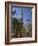 Families Relax after Prayers in Tree-Lined Garden of Abu Al-Abbas, Al-Mursi Mosque, Alexandria-Julian Love-Framed Photographic Print