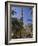 Families Relax after Prayers in Tree-Lined Garden of Abu Al-Abbas, Al-Mursi Mosque, Alexandria-Julian Love-Framed Photographic Print