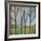 Family Bare Trees-Tim Nyberg-Framed Giclee Print