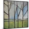Family Bare Trees-Tim Nyberg-Mounted Giclee Print