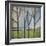 Family Bare Trees-Tim Nyberg-Framed Giclee Print