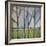 Family Bare Trees-Tim Nyberg-Framed Giclee Print