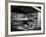 Family Basement Fallout Shelter-null-Framed Photo