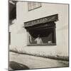 Family Butchers' Shop-Curtis Moffat-Mounted Giclee Print