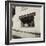 Family Butchers' Shop-Curtis Moffat-Framed Giclee Print