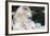 Family Dog-framsook-Framed Photographic Print