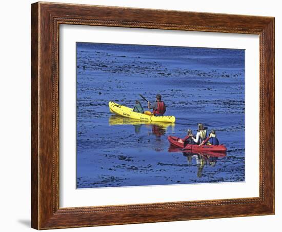 Family Exploring the Monterey Bay, California, USA-Georgienne Bradley-Framed Photographic Print