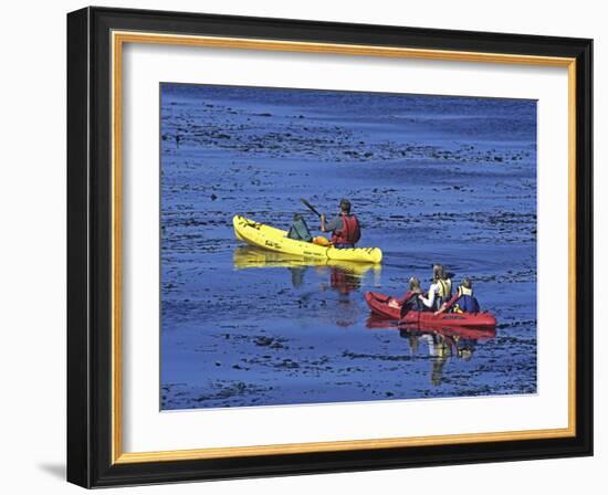 Family Exploring the Monterey Bay, California, USA-Georgienne Bradley-Framed Photographic Print