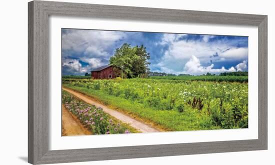 Family Farm-Celebrate Life Gallery-Framed Art Print