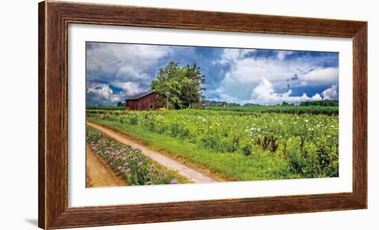 Family Farm-Celebrate Life Gallery-Framed Art Print