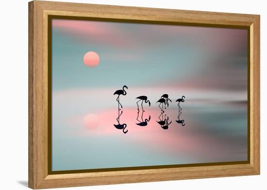 Family Flamingos-Natalia Baras-Framed Premier Image Canvas