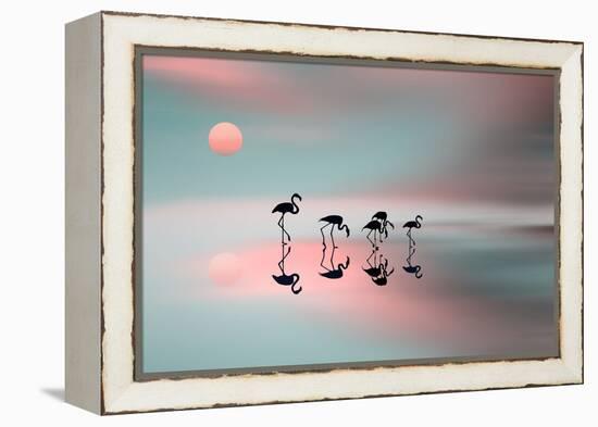 Family Flamingos-Natalia Baras-Framed Premier Image Canvas