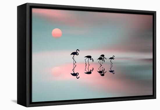 Family Flamingos-Natalia Baras-Framed Premier Image Canvas