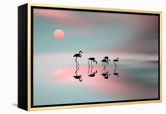 Family Flamingos-Natalia Baras-Framed Premier Image Canvas