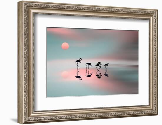 Family Flamingos-Natalia Baras-Framed Photographic Print