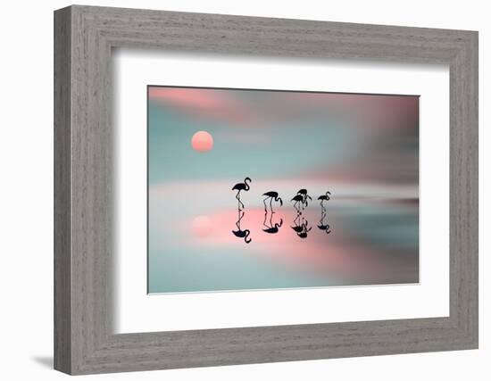 Family Flamingos-Natalia Baras-Framed Photographic Print