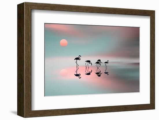 Family Flamingos-Natalia Baras-Framed Photographic Print