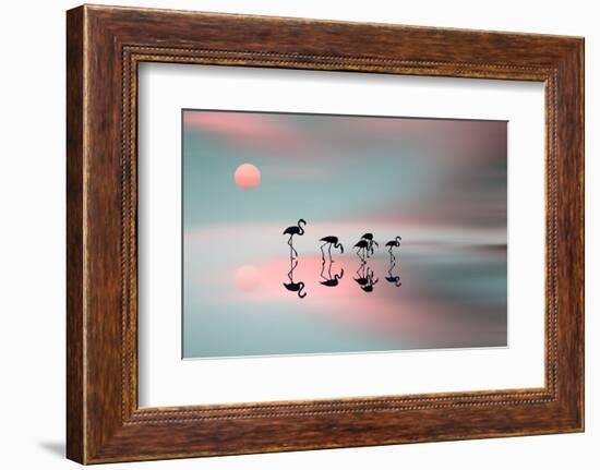 Family Flamingos-Natalia Baras-Framed Photographic Print